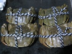 -丫丫蟹庄·苏式园林农家乐·阳澄湖大闸蟹(阳澄湖莲花岛店)