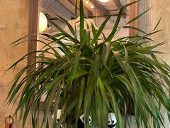 -食陆号·新式台湾创意菜(苏州首店)