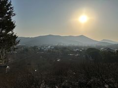 -香雪海