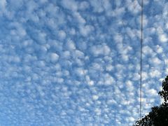 -罗平振兴老店砂锅饭(文笔路店)