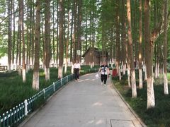 -范蠡湖公园