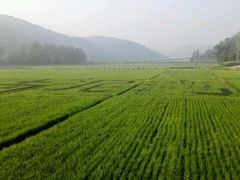 android_upload_pic-南泥湾风景区