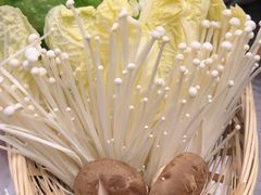 -同仁四季椰子鸡(海岸城天利店)