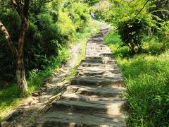 -水濂山森林公园