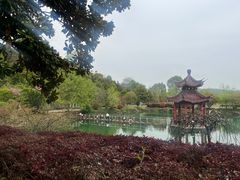-冶父山国家森林公园