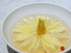 养生静心莲-鱼桥巷·美学川菜