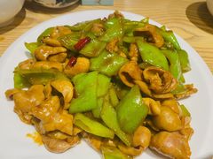 尖椒肥肠-方城小吃店