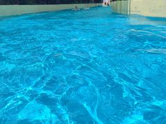 -上海玛雅海滩水公园