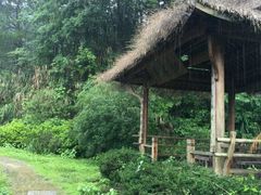 -千岛湖龙川湾