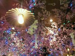 -波波's蛋糕店(于洪广场店)