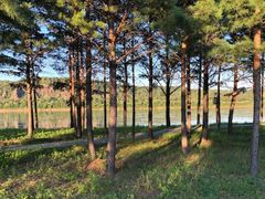 -北极村旅游风景区