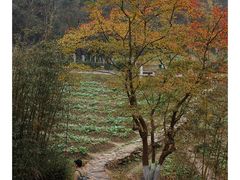 -常德桃花源景区
