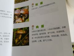 -太婆天府山珍酒楼(亚运村店)