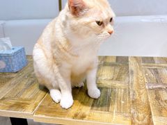 -小时光咖啡馆(北锣鼓巷店)