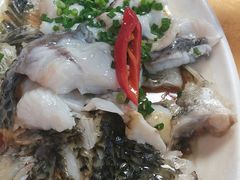 -鸽王世家(东华东路店)