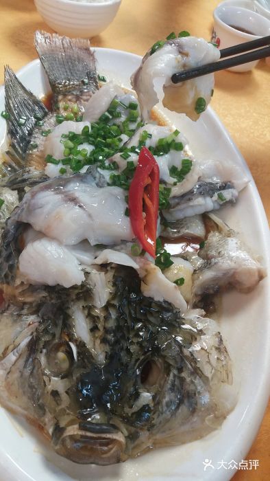 鸽王世家(东华东路店)图片