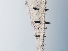 -张坝桂圆林公园