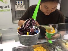 -Salud撒露欧洲冻酸奶(蓝色港湾店)