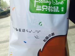 -三只松鼠生活馆(芜湖弋江金鹰店)