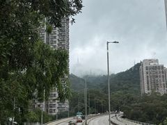 -南宁良凤江国家森林公园