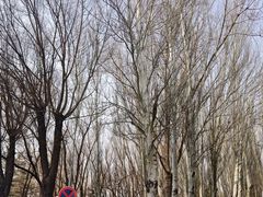 -吉林大学(前卫南校区)