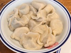 猪肉韭菜水饺-新兴园饺子馆(望京店)