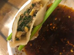 九鲜饺子-宝源饺子(麦子店街店)