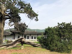-司徒庙