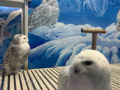 -成都浩海立方海洋公园