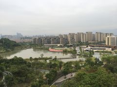 -飞凤山奥体公园