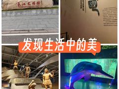 -武汉园博园(武汉自然博物馆)