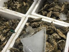 生蚝-渔人湾码头海鲜市场负二楼