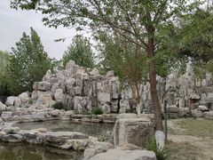 -太阳宫公园