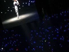 -大连体育中心体育馆