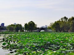 -长春市南湖公园