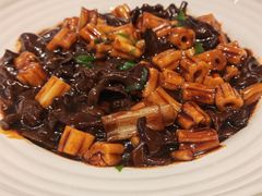 -燕郊烧鸽子(酷车小镇店)