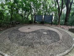 -上海佘山国家森林公园天马山园