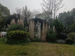 -白鹭湾湿地公园