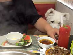 -廖掌柜·重庆鲜货火锅(上海首店)