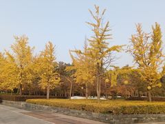 -蠡湖中央公园