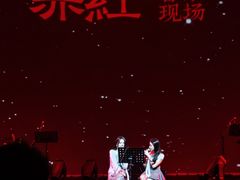 -赤红音乐现场(浦东金桥路店)