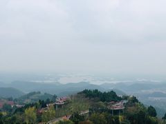 -胡世羊肉汤(南街店)