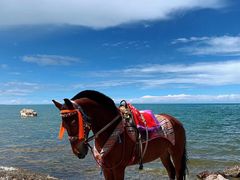 -青海湖国家重点风景名胜区
