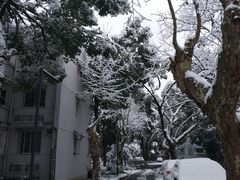 -中国人民解放军联勤保障部队第九〇三医院(九里松院区)