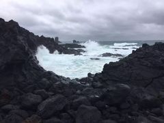 -涉地可支