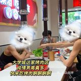 河西大学城📍大学生zui 爱的烤肉……