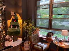 -咖法森林·咖啡  酒吧(天河店)