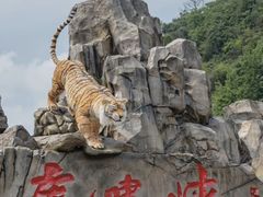 -虎啸峡漂流
