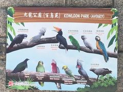 -九龙公园