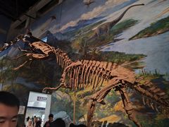 -自贡恐龙博物馆
